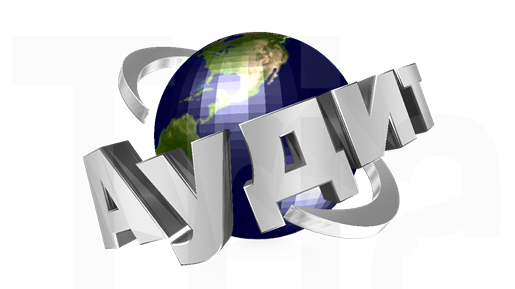 Аудиторська фірма «Аналітик»